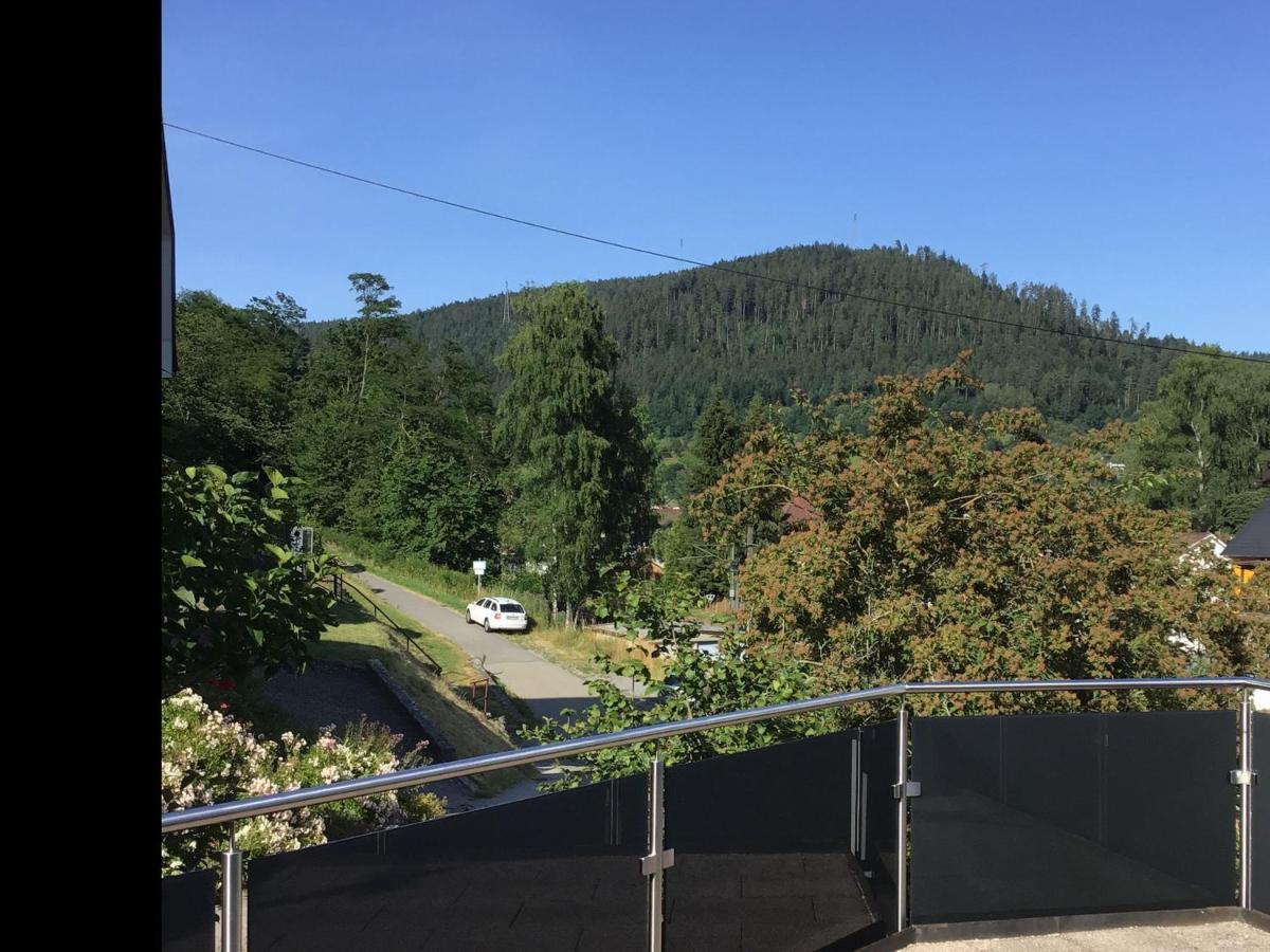 Ferienwohnung Am Eiberg บาดวิลด์บาด ภายนอก รูปภาพ