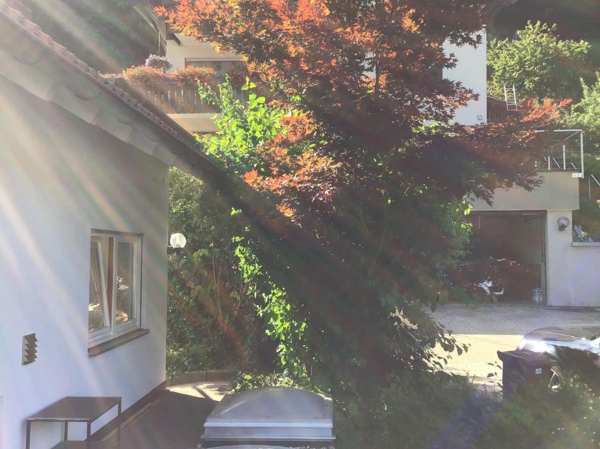 Ferienwohnung Am Eiberg บาดวิลด์บาด ภายนอก รูปภาพ