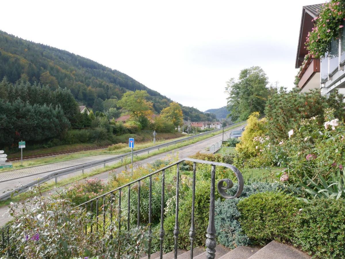 Ferienwohnung Am Eiberg บาดวิลด์บาด ภายนอก รูปภาพ